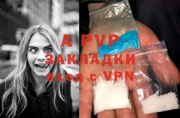 крисы Абаза