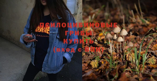 крисы Абаза