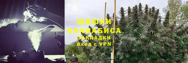 крисы Абаза