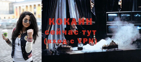 крисы Абаза