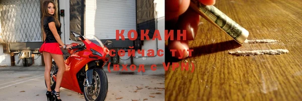крисы Абаза